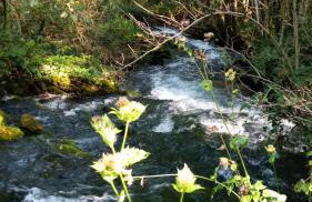 Three Little Birds Artists Residence - Foto 60