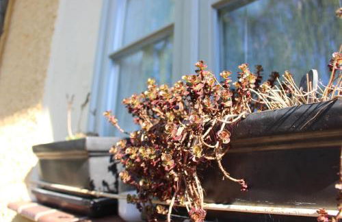 landhaus rosmarin - Foto 4