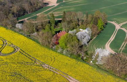 Zur Feldlerche - Foto 7