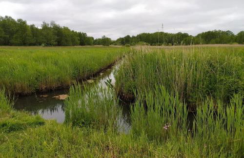 Ferienhaus Ebsen HH 2 - Foto 21