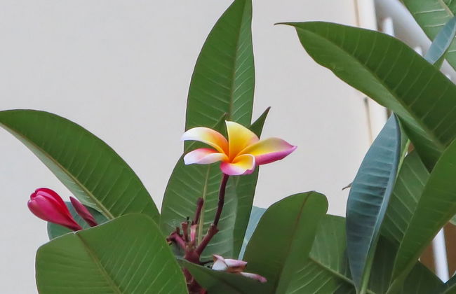 Marlin Waters - Foto 47