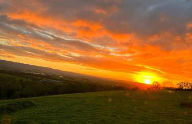 The Lookout - Foto 20