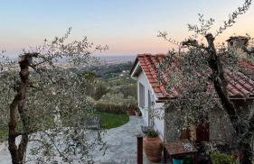 Oliveto Tuscany - Foto 13