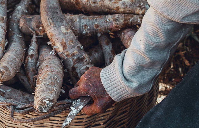 Garopaba Cachaça Tour - Photo 6