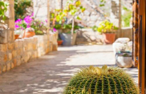 Holiday house with a parking space Lozisca, Brac - 15444 - Foto 5