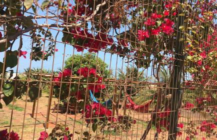 Beautiful house in the paradise of São Cristóvão RN - Foto 37