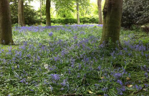 Woodside House - Foto 43