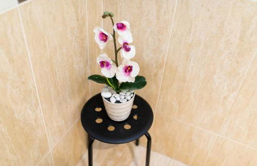 Alojamiento Familiar, Plaza Toros Granada - Foto 24