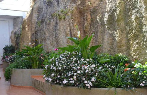 Coral Villa - Foto 40