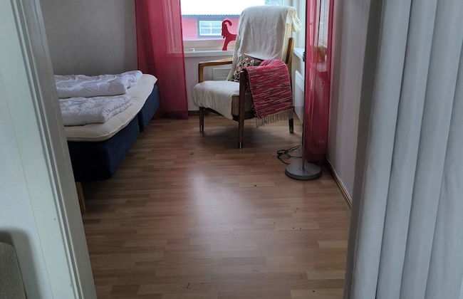 Lapland Pure Nature and More! - Foto 3