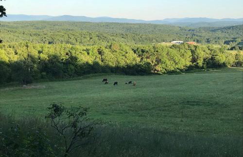 Runamuk Farm Camp with a View near the Adirondacks - Foto 20