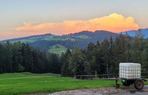 Ferienwohnung Seywald - Foto 37