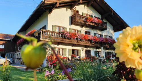 Schneiderhof Ferienwohnung mit Alpenblick - Foto 2