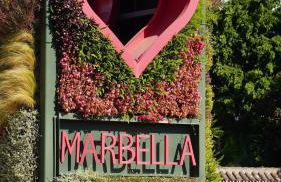 Banús Walk Apartment - Foto 74