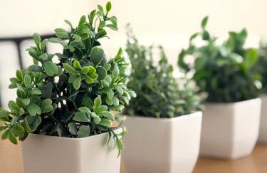 Shoreham Luxe Vibrant 4BR 2,5BA with Waterfront - Foto 22