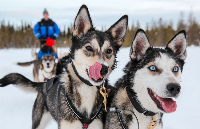 Lomavekarit - Foto 25