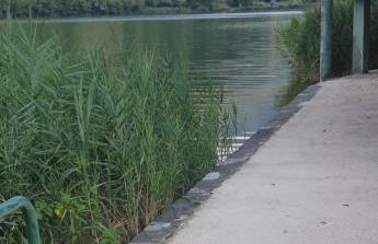 CasaEndine - Foto 15