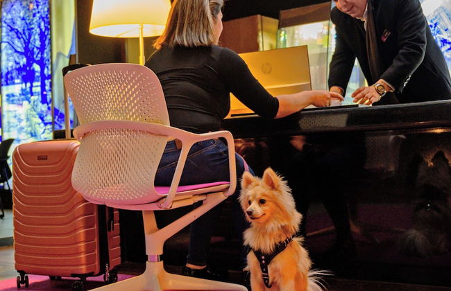 Las Suites Campos Eliseos - Foto 63