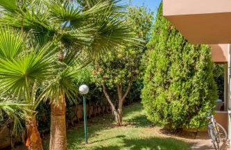 Theos Holidays Apartments - Foto 50