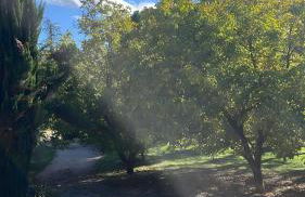 Maisonnette au coeur du Luberon - Foto 13