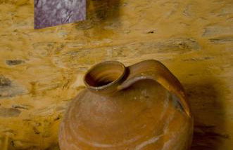 Xisto Sentido - Foto 46