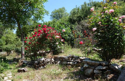 Andrea Sofi Guesthouse - Photo 40