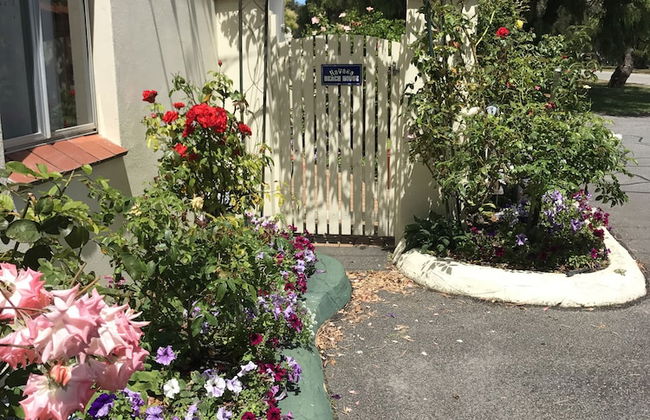 Havana Villas - Foto 41