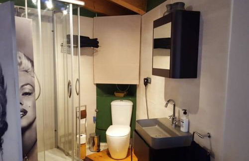 Casa Ambiente Rural: En plena Ribera del Duero - Foto 5