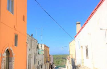 Patanella Wine - Foto 16