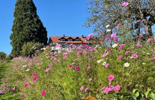 Bergchalet Mirabell - Hofgut - Foto 48