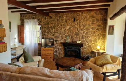 Huerto Fernandito - Foto 13