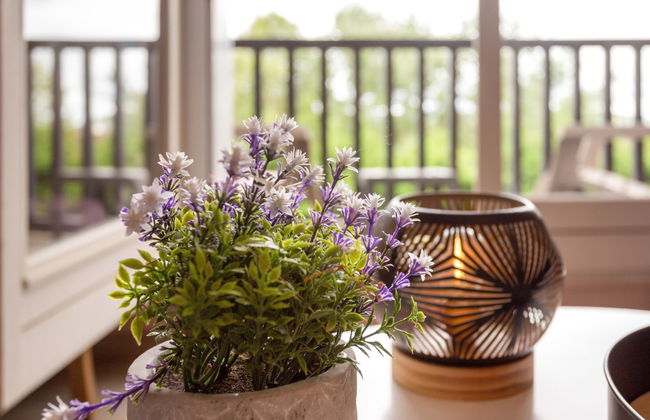 Les Corniches du Mont Canisy - Foto 12