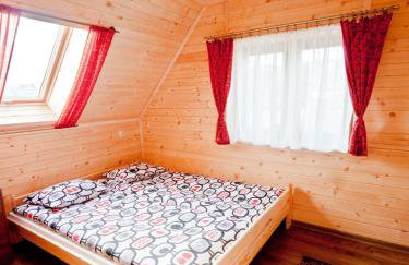 Apartamenty i Domki Biały Dunajec - Foto 44