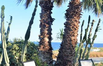 Aloe Mare Suites - Foto 16