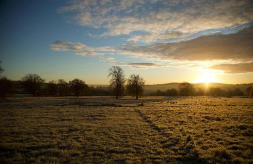 Mulberry House - Photo 51