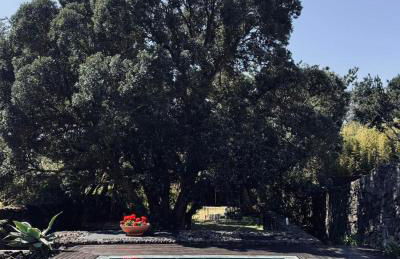 Caloura Suite - Foto 1