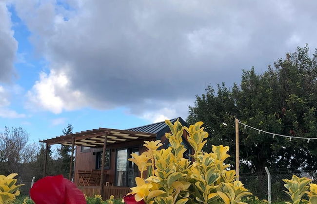 Radika Datca - Photo 21