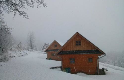 Domki Pod Dębem - Foto 22