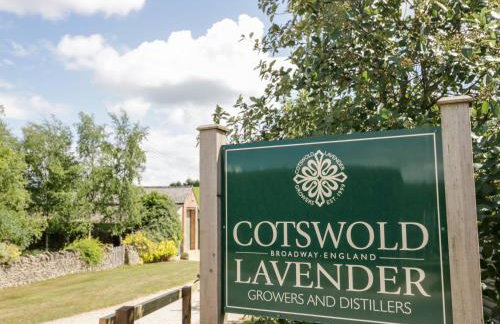 The Malins - Foto 25