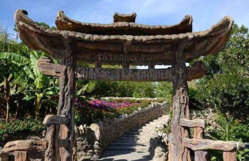 La Mariposa San Antonio - New! 5 min to Downtown! - Foto 25