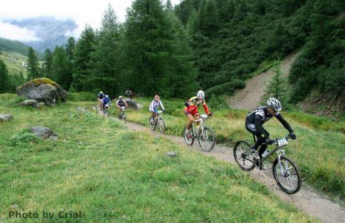 Village Treehouse #2 - Foto 60