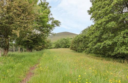 Dingle Den - Photo 11