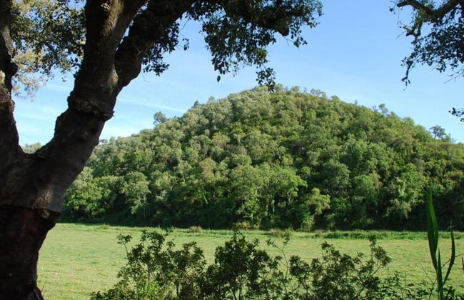 Quiet Cottage in Estate Casas da Cerca near Troviscais - Foto 31