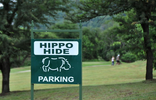 Kruger Park Lodge Unit No. 267 - Photo 37