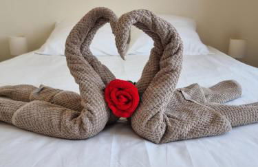 La Rosalie des Alpes - Ski l'hiver, rando l'été !!! - A deux pas des pistes ! - Foto 1