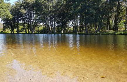 Casa da Mena - Casa de Campo no Caramulo - Foto 33