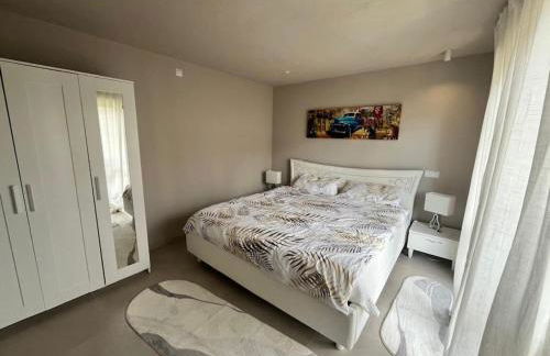 MindeloThePalm - Foto 12