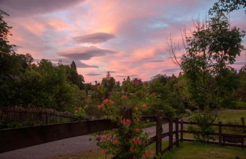 Room with a view - Photo 64