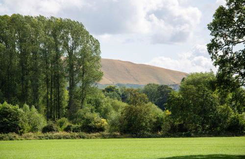 The Lawley - Photo 41