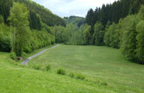 Ferienhaus Schmallenberg nahe Skifahren - Foto 30
